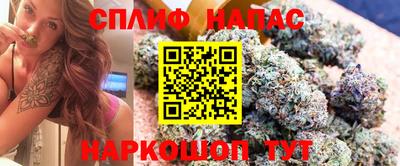 гашик Ливны