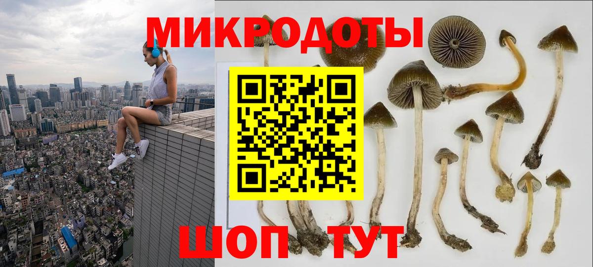 Ялта  купить   Вход с VPN  Псилоцибиновые грибы мицелий 